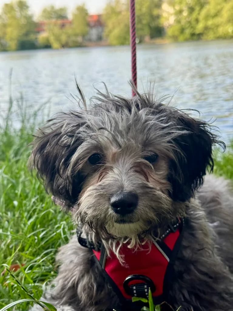 Lela sitting beside a lake